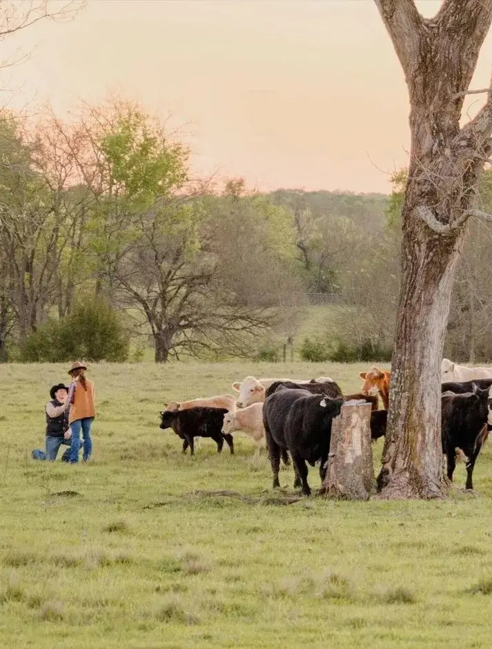 Sydney and Dalton with their cattle at Diamond D Ranch